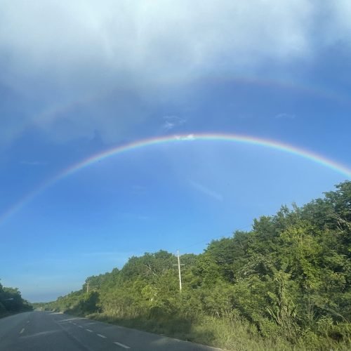IMG_3285 rainbow